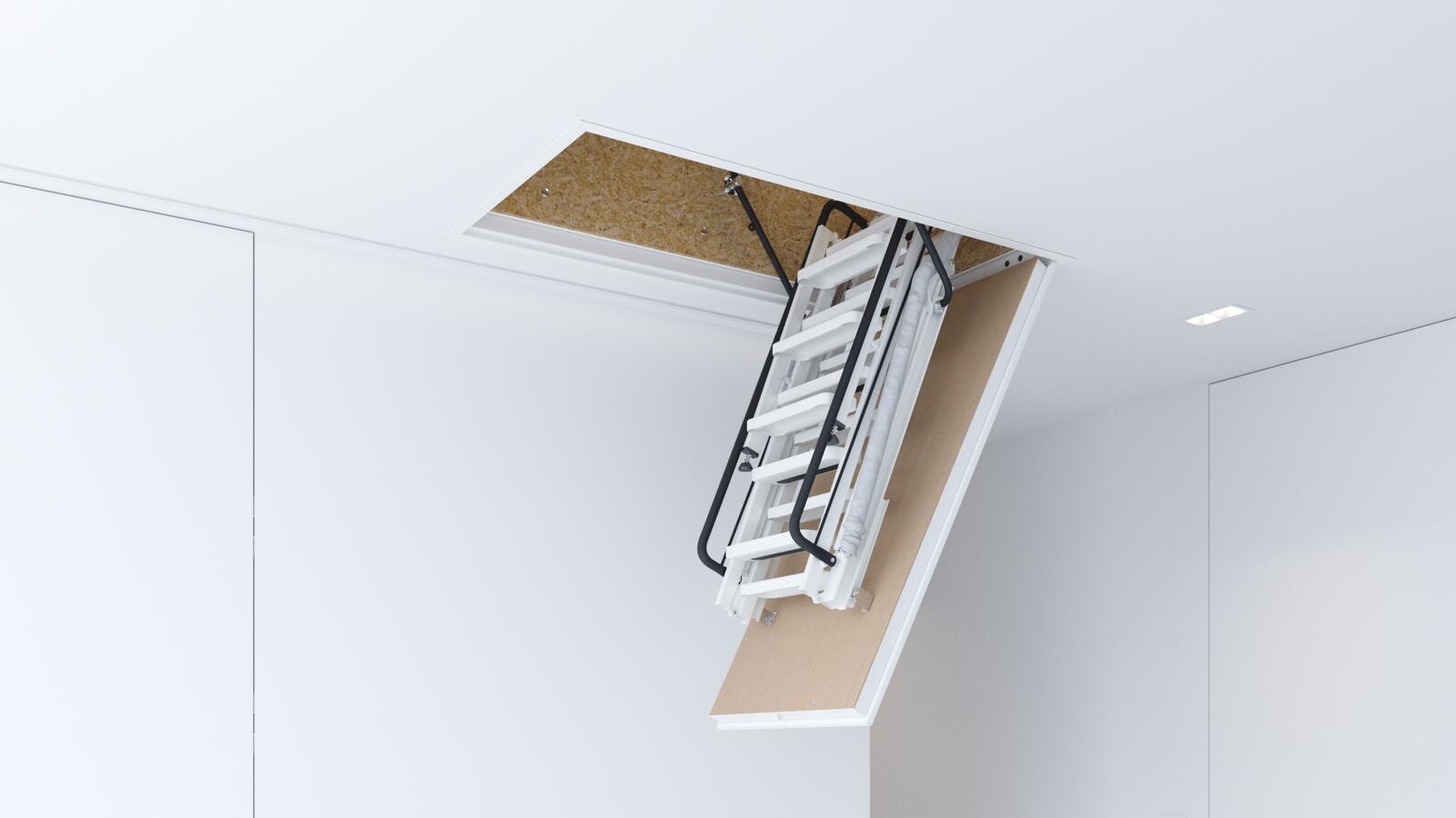 Loft ladders